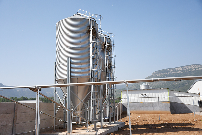 DSC_0176_02 拷貝.jpg DSC_0176_02 拷貝.jpg